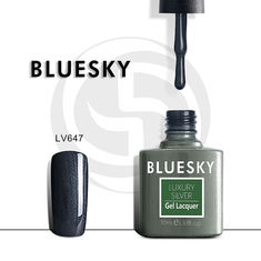 @1 - Bluesky Luxury Silver LV647 (10)     