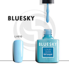   - Bluesky Luxury Silver LV610 (10)     